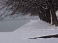 lakebalatonwinter_small.jpg