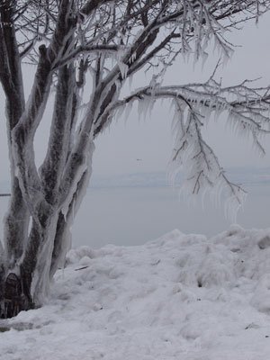 winterbalaton.jpg